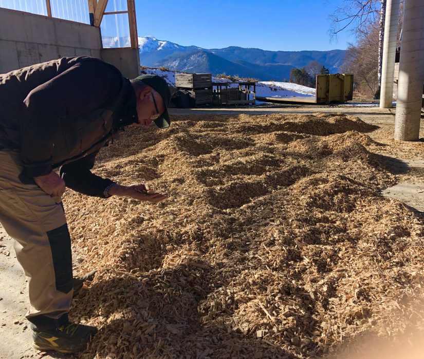 Joël Hermitte Produits connexes du bois