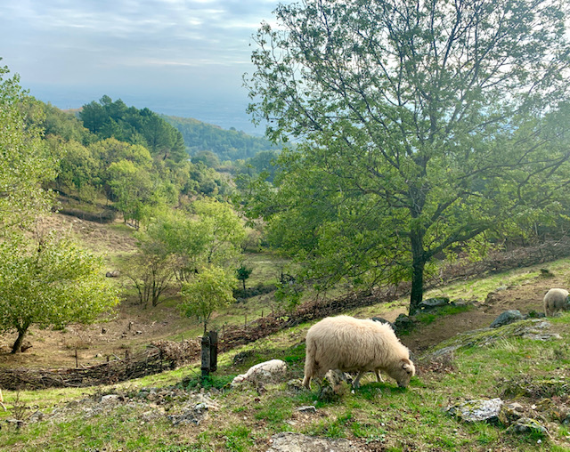 Le Domaine de Lorient, une ferme vigneronne expérimentale 1