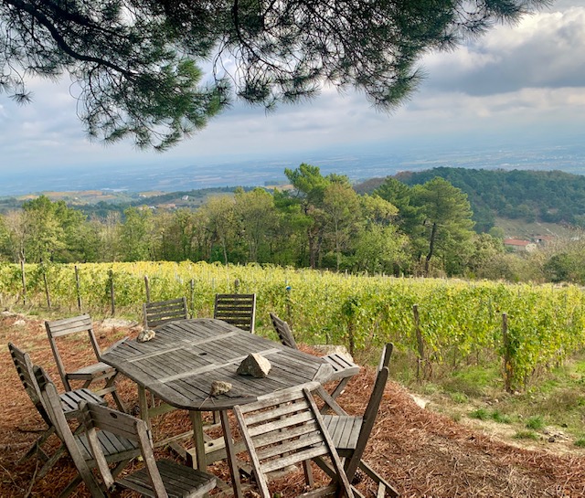 Le Domaine de Lorient, une ferme vigneronne expérimentale 2