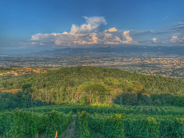 Le Domaine de Lorient, une ferme vigneronne expérimentale 3