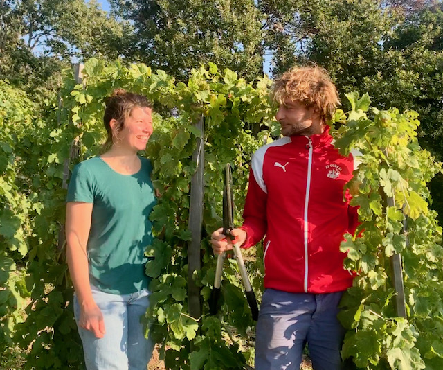 Le Domaine de Lorient, une ferme vigneronne expérimentale