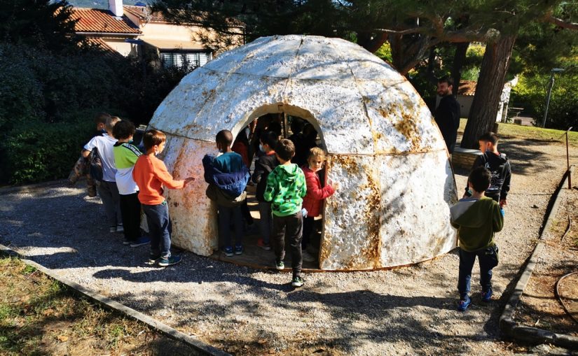 mycotemple-mycotopia-champignon