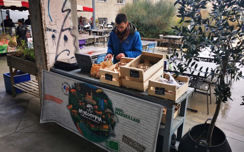 mycotopia-vente-champignon-marseille