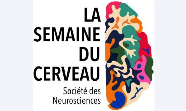 Tout sur le cerveau jusqu'au 20 mars 1