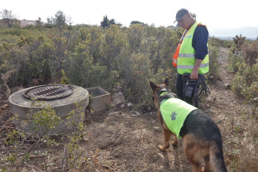 chien-detecteur-fuite-eau