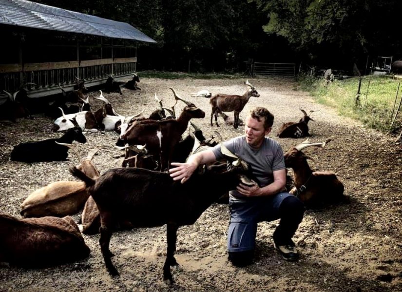 Des abattoirs mobiles pour le bien-être animal  ! 1