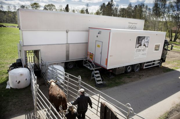 Des abattoirs mobiles pour le bien-être animal  ! 2