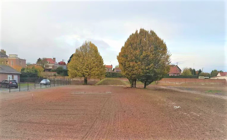 Des prairies fleuries sur les friches industrielles 1