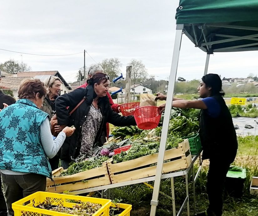 Alternative à la prison : une ferme pour les femmes en fin de peine 5