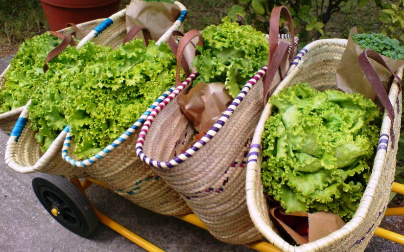 Panier de producteur