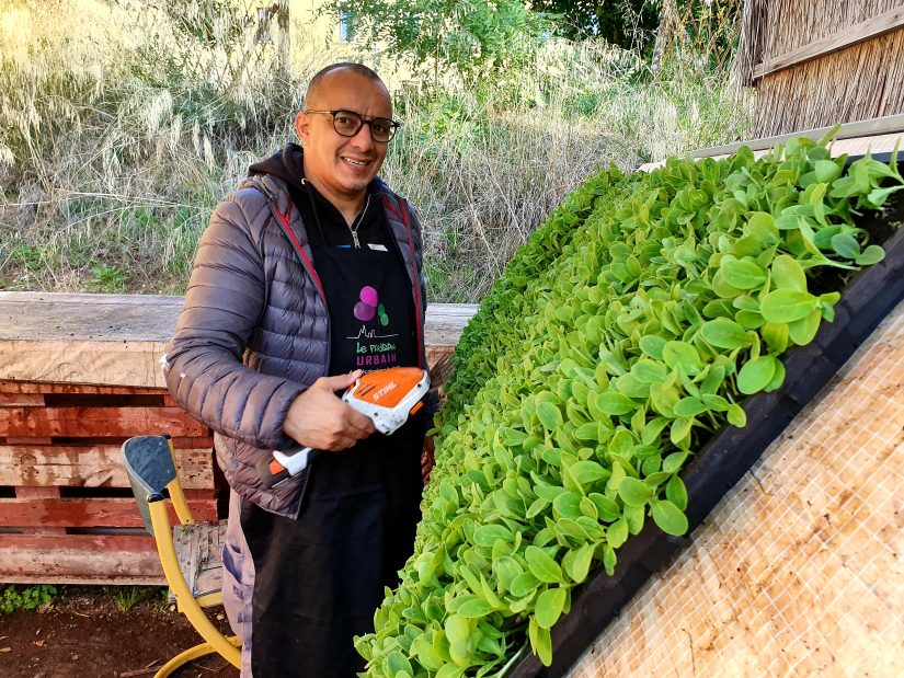 paysan-urbain-marseille-insertion