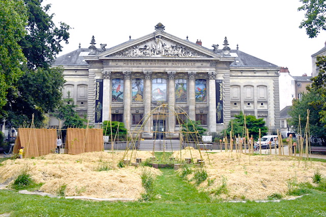 À Nantes, les légumes des espaces verts nourrissent les plus défavorisés 3
