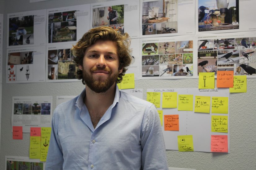 Des oiseaux pour nous sensibiliser à la préservation de l’environnement 2