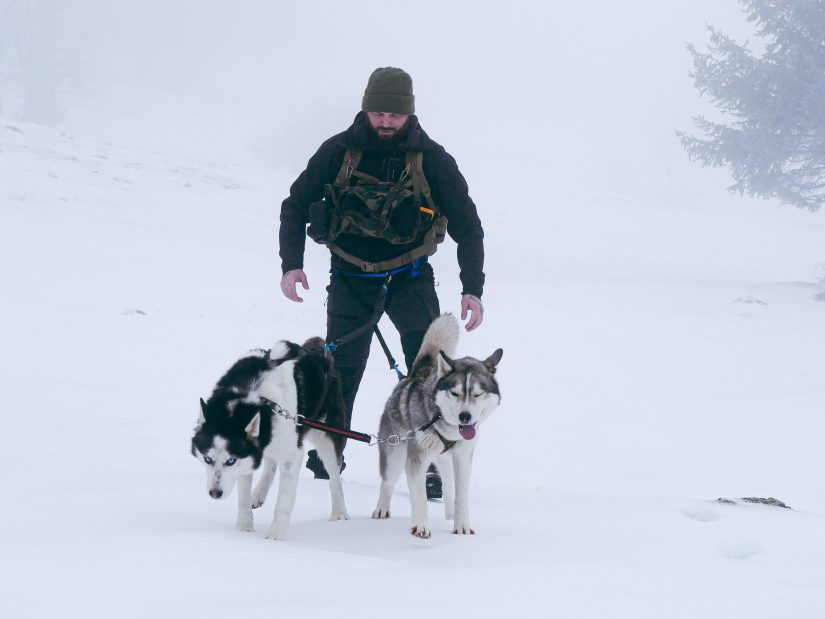 guillaume-playez-photographe-animalier