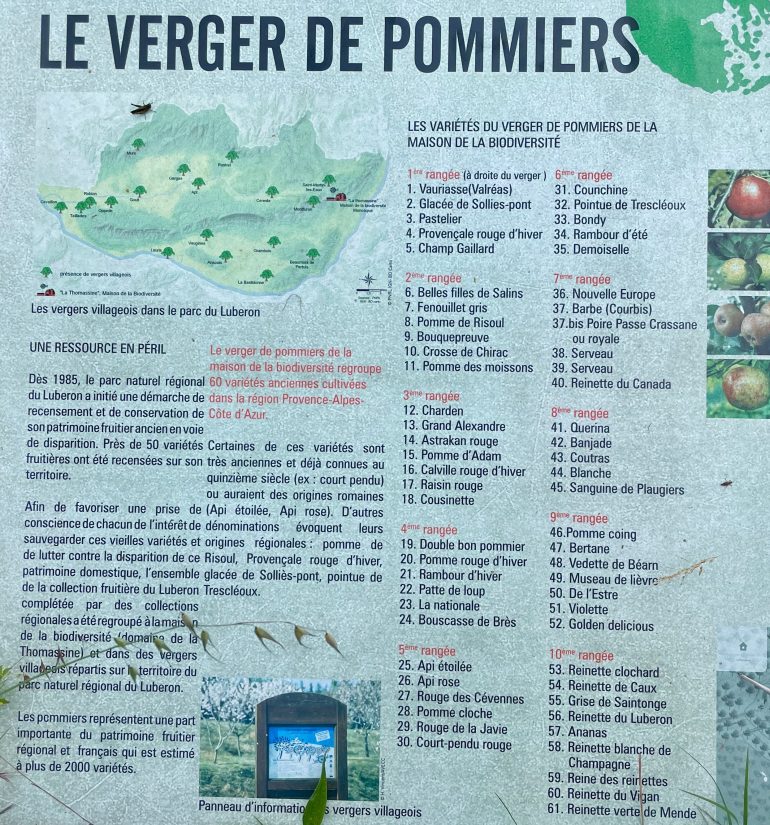 Un conservatoire de vergers anciens 11