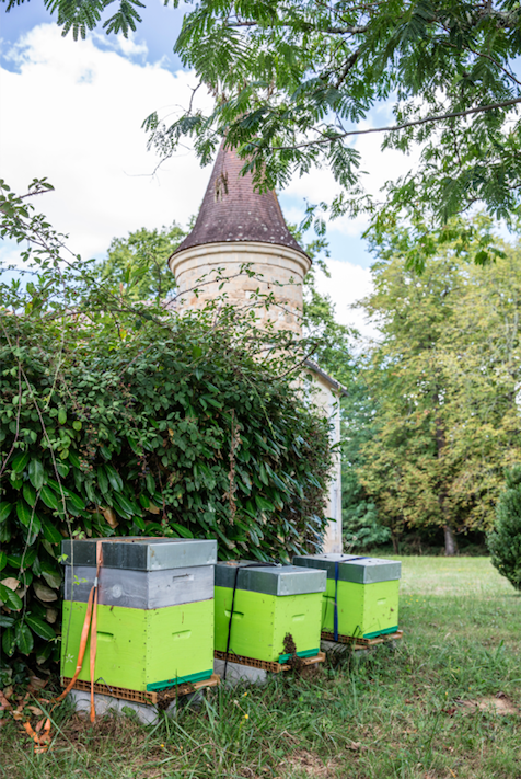 Tariquet en lutte contre l’urgence climatique 2