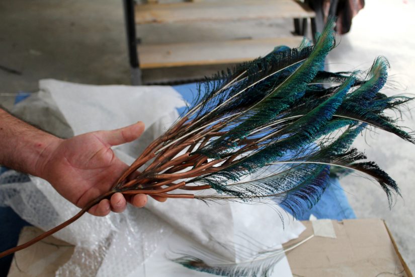 paon-cuivre-almendra-adelaide-marseille-rennes