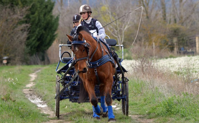 Une yourte dans le Vaucluse 2
