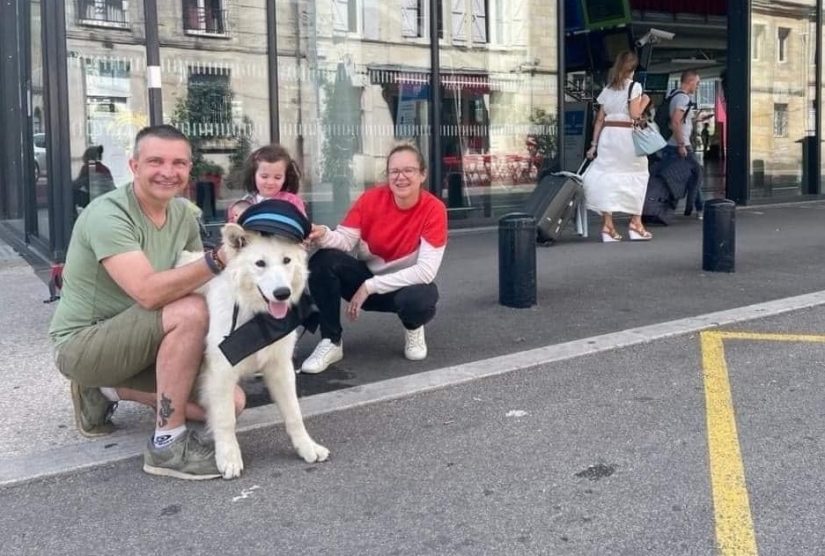 Un collectif convoie gratuitement les animaux abandonnés vers leur nouvelle vie 4