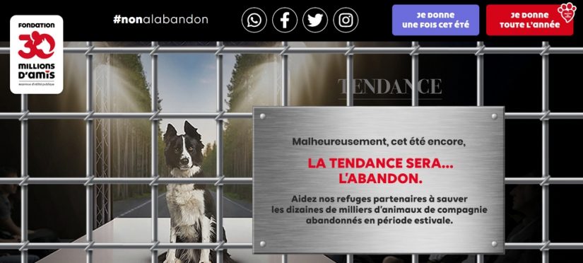 campagne-abandon-ete-france