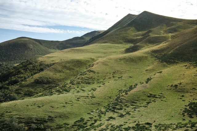 Greenpeace veut vous inspirer cet été 4