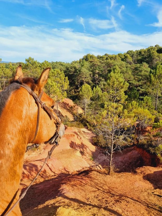 Une yourte dans le Vaucluse 3