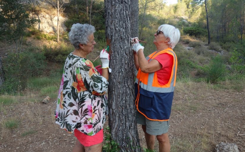 marque-sentier-chemin-randonnee