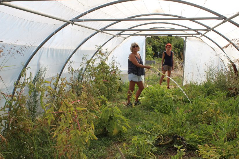 maraichage-citoyen-environnement-marseille-jardin