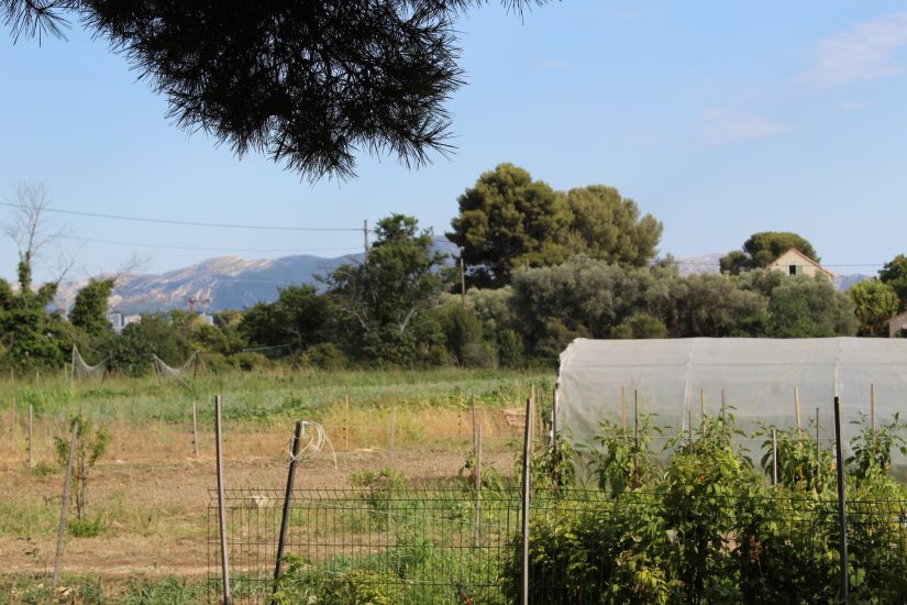 marseille-sainte-marthe