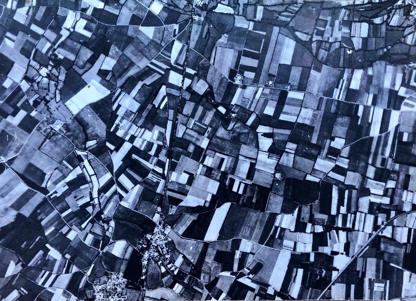 Reconstituer les haies dans les champs, une urgence 1