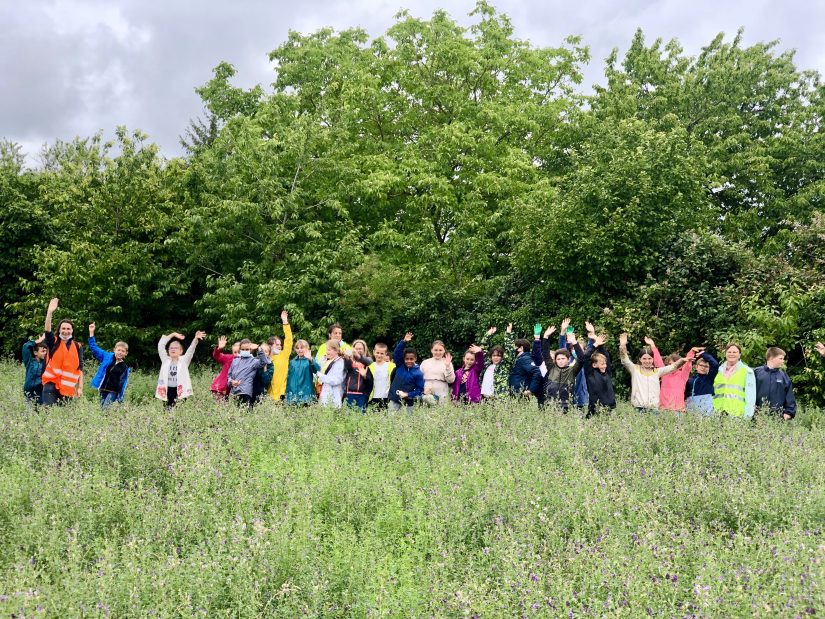 Reconstituer les haies dans les champs, une urgence  9