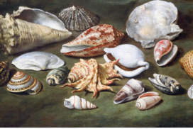 BiodivAquArt élargit son enquête au grand public