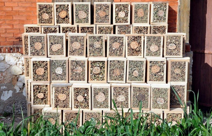 hotel-insecte-protection-abeille