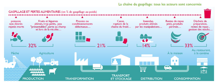 Vaincre le gaspillage alimentaire, à la maison et à la cantine  3