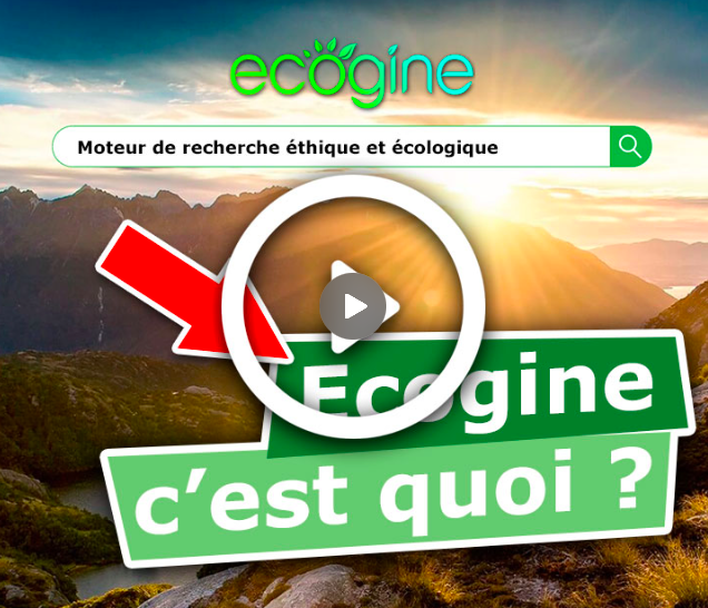 Ecogine