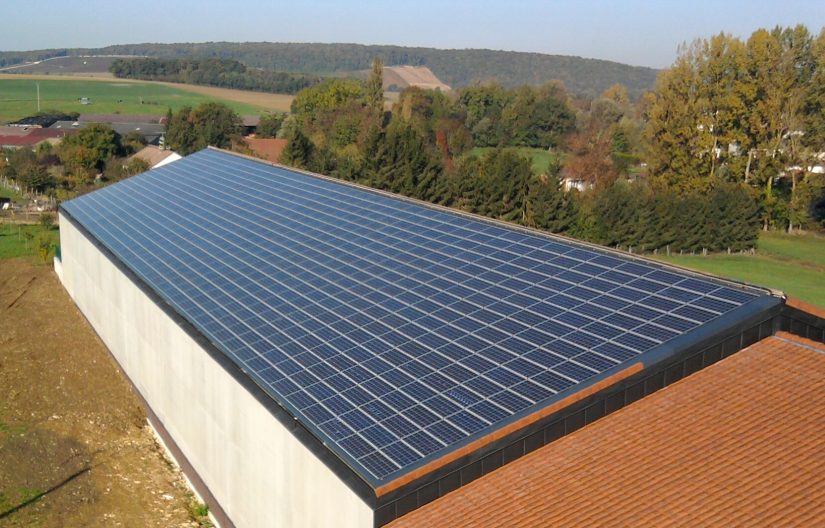 Drappier, vert de la vigne au cargo 2