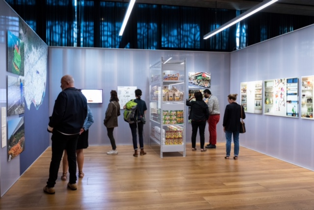 Marcelle, 4 ans et toujours un bel appétit !