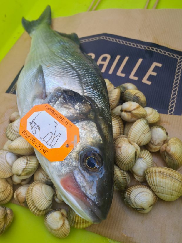 amap-mer-bar-coquillages
