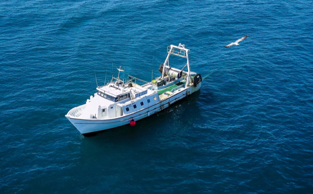 Quand la pêche durable donne le thon 3