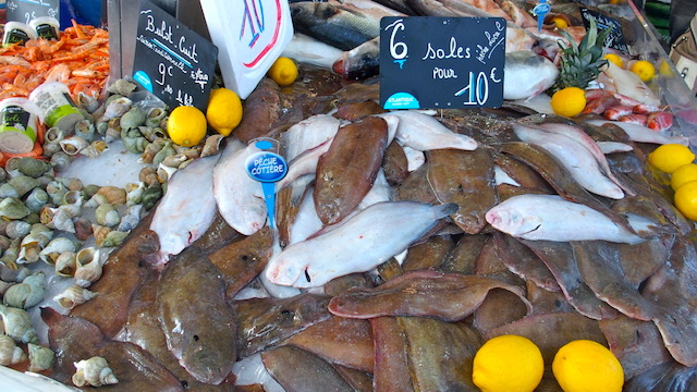 Quand la pêche durable donne le thon 6