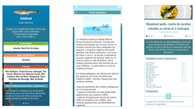 Quand la pêche durable donne le thon 7