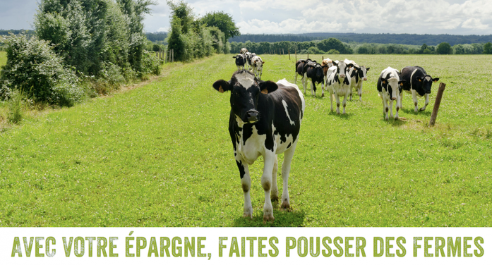 Faire Pousser des fermes