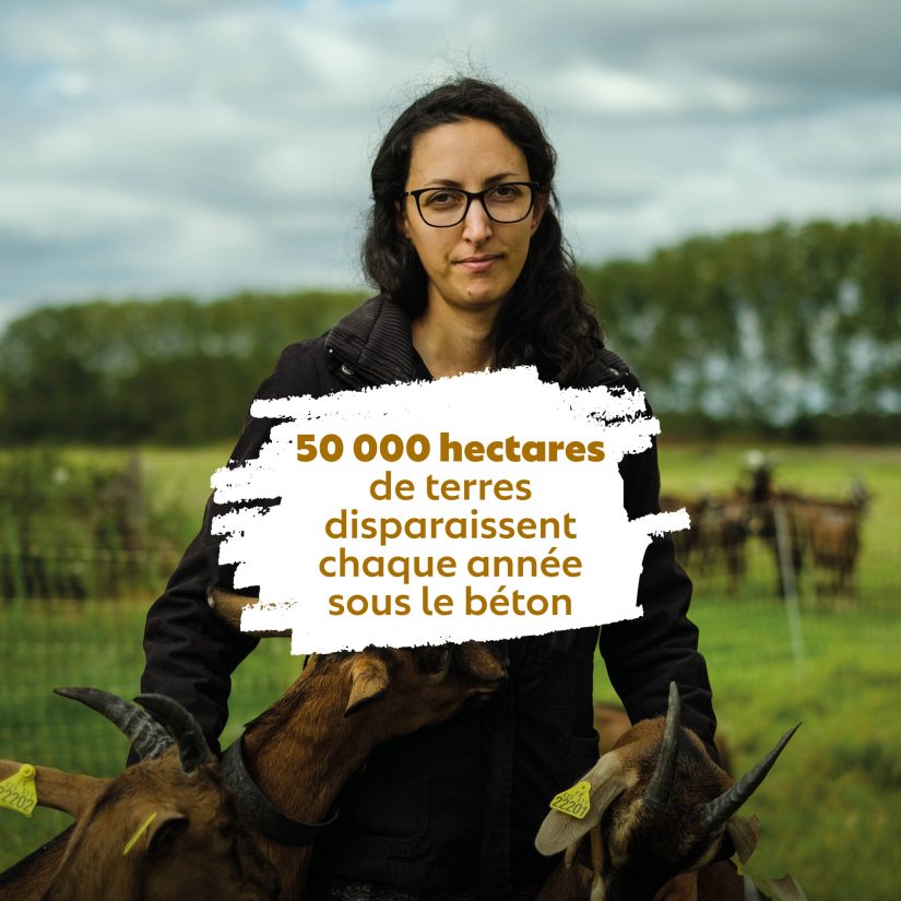 Terre de Liens 50 000 hectares de terres fertiles