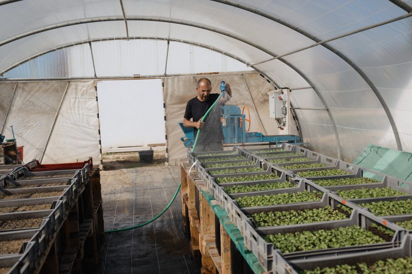 Sauver les fermes avec Terre de Liens 9