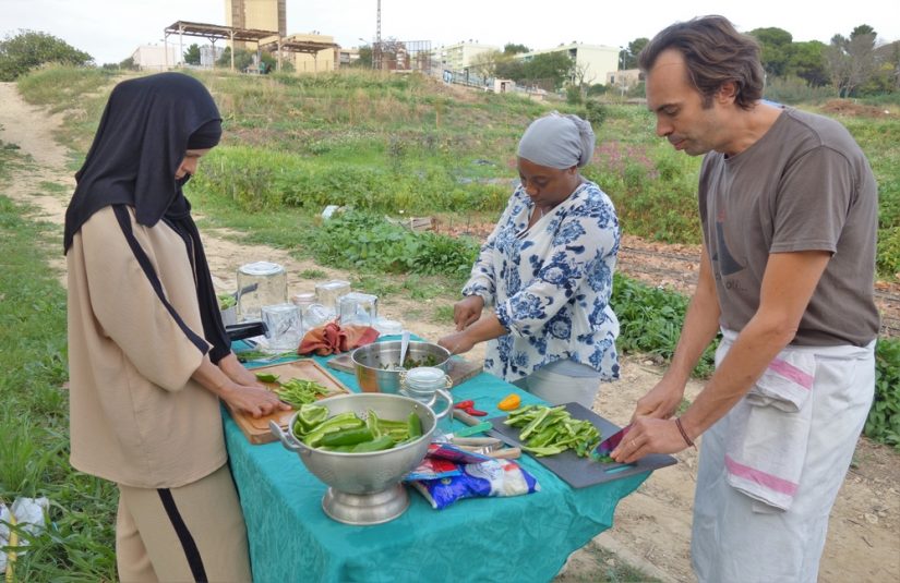 Capri : mieux qu’une ferme des quartiers nord de Marseille, un lieu de vie 1