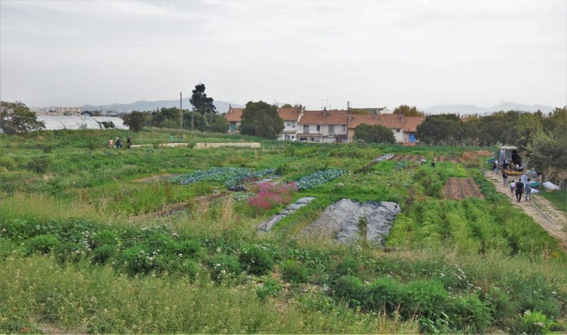 ferme-capri-cite-agriculture