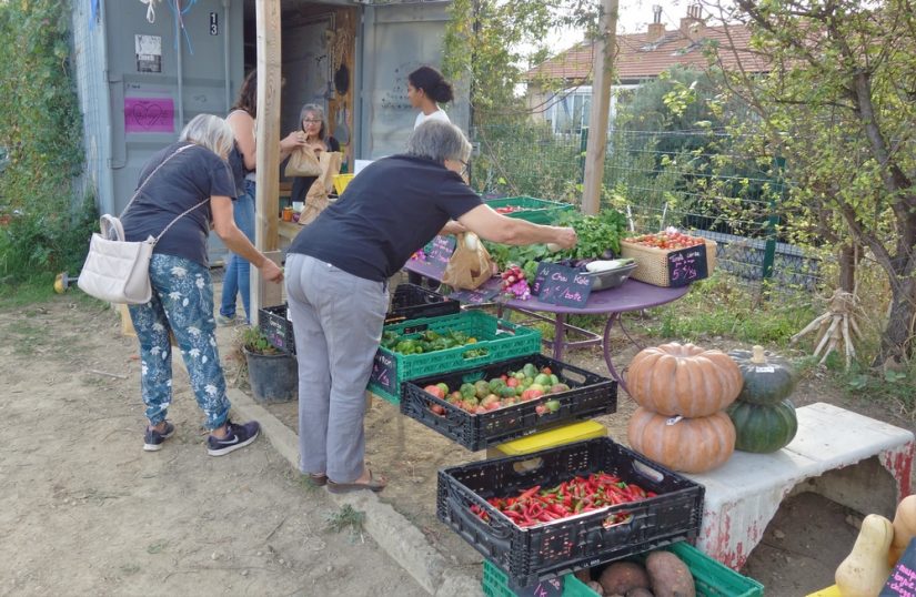 marche-legume-vente-directe-marseille