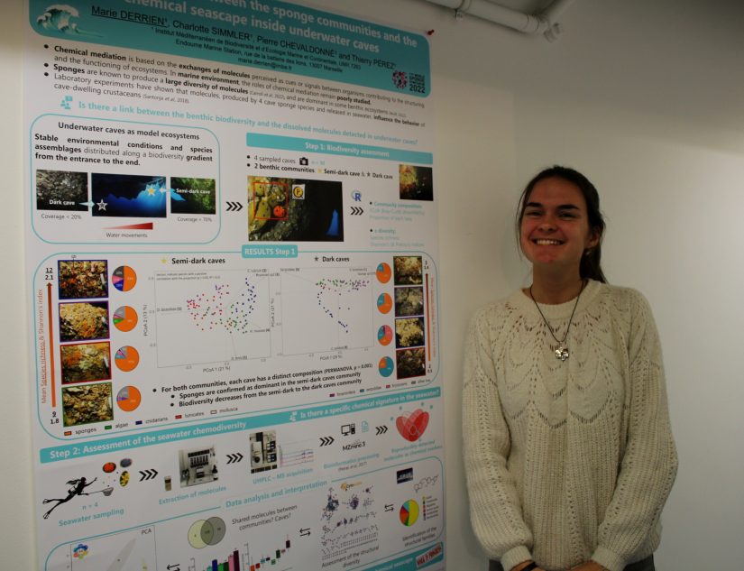 A Marseille, des chercheurs décèlent les mystères des éponges marines 2