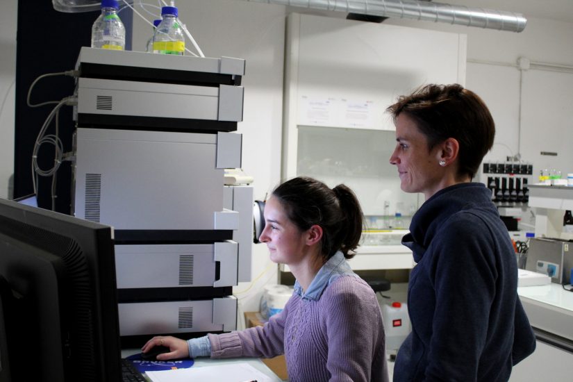 A Marseille, des chercheurs décèlent les mystères des éponges marines