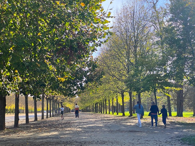 Alain Baraton, sentinelle de l'environnement 1